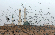 ثبت نام عمره مفرده اینترنتی می‌شود