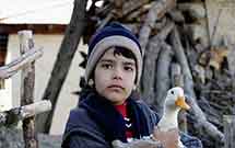 حضور فیلم دینی «بهشت اینجاست» در جشن سينمای ايران حضور فیلم دینی «بهشت اینجاست» در جشن سينمای ايران