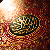 مريد نيمه راه