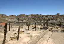 باغ فدک حضرت زهرا (س) در شرق مدینه