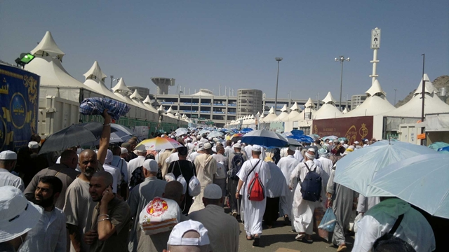 راه اندازی سامانه پیامکی برای ارتباط زائران با ستاد عمره