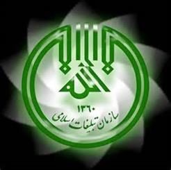 سه هزار مداح تحت پوشش بیمه قرار گرفتهاند سه هزار مداح تحت پوشش بیمه قرار گرفتهاند