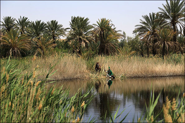 مجید انتظامی موسیقی مستند «کربلا، جغرافیای یک تاریخ» را نهایی می کند