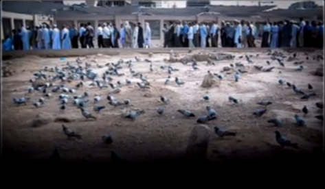 مداحی حاج غلامرضا عینی فرد ویژه ایام فاطمیه