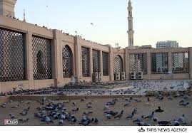 چگونه ام البنین(س) همسر امام علی(ع) شد؟