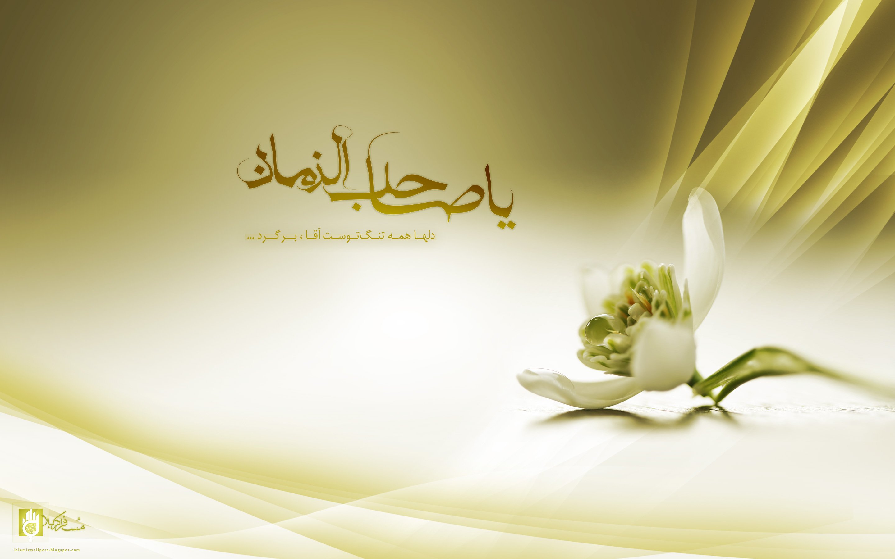 در میلاد ختم الاوصیاء حضرت ولیعصر(عج) هیئت کجا برویم؟ در میلاد ختم الاوصیاء حضرت ولیعصر(عج) هیئت کجا برویم؟