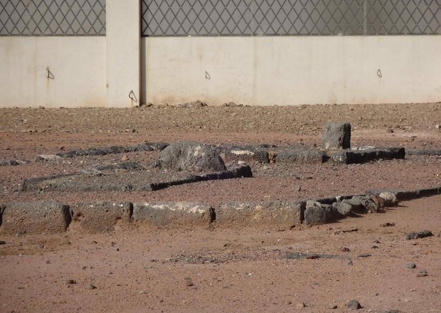 عزاداری چگونه تأسیس شد/ اشاره پیامبر(ص) به گریه بر حمزه سیدالشهدا