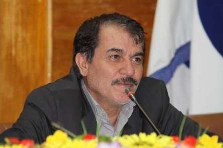 تعداد زوار در اربعین سال جاری به دو میلیون نفر میرسد تعداد زوار در اربعین سال جاری به دو میلیون نفر میرسد