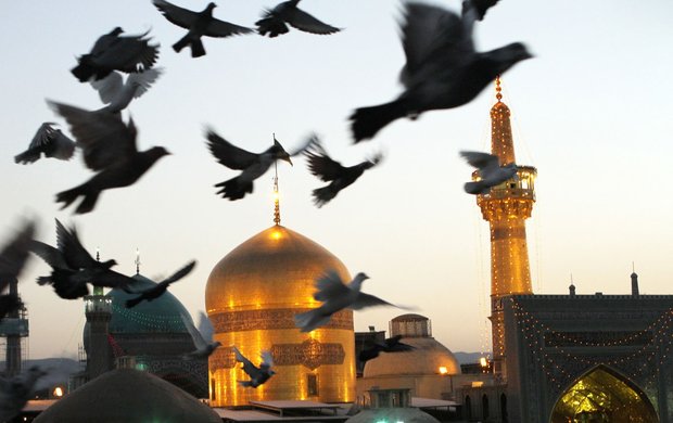 ثبت بیش از ۵۰ هزار زیارت در کمپین نایبالزیاره ثبت بیش از ۵۰ هزار زیارت در کمپین نایبالزیاره