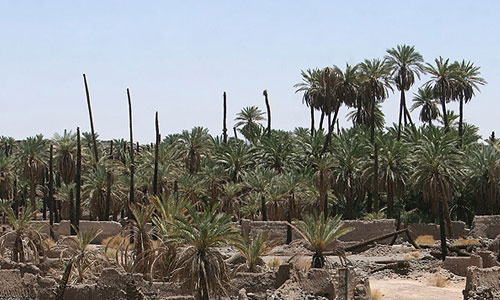 چرا پيامبر (ص) فدك را به حضرت زهرا(س) بخشید؟