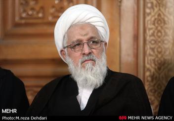 مجلس عزاداری امام حسین(ع) بستری برای بیان درد جامعه امروز باشد