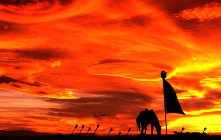 «بنال بلبل بیدل که جای فریاد است» «بنال بلبل بیدل که جای فریاد است»