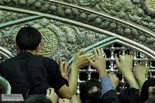 زیارت امام رضا(ع) بهترین نعمتی که خداوند نصیبم کرده است