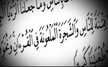 چرا رهبر انقلاب از عبارت شجره ملعونه استفاده کردند؟