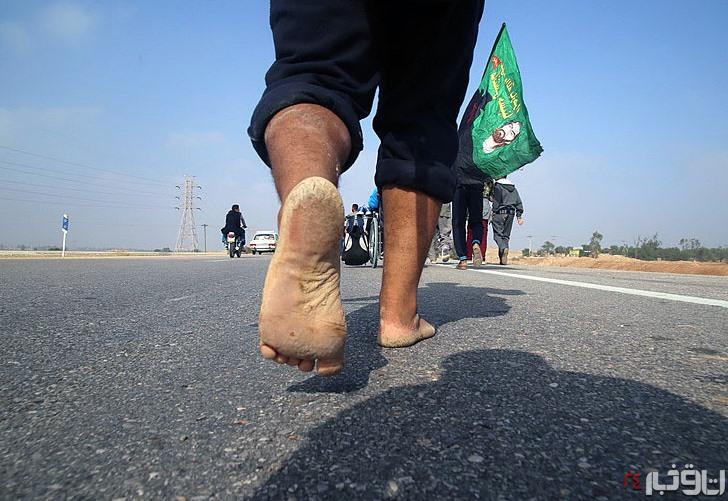 مناسکی به وسعت یک تاریخ