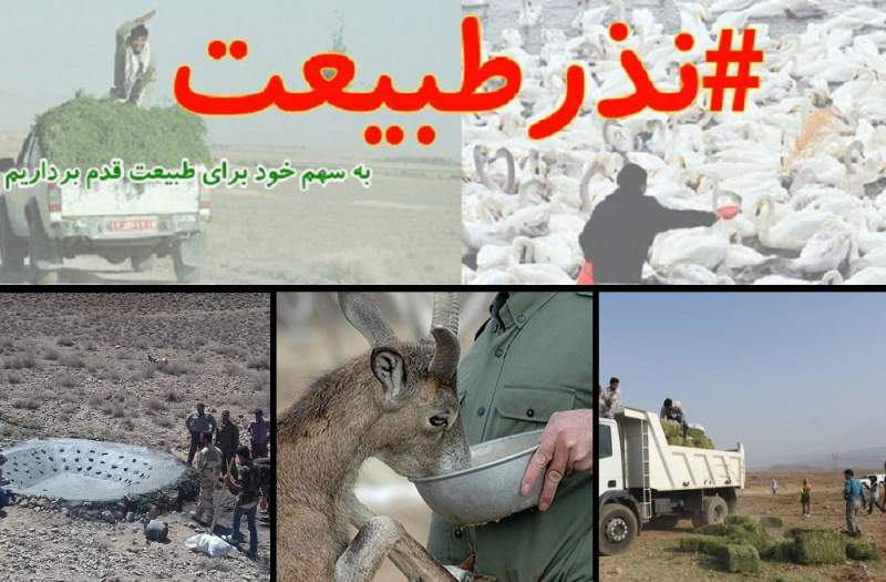 حرکتهای فرهنگی و اجتماعی در ماه محرم؛ زندگی با «نذر آب» جاری شد حرکتهای فرهنگی و اجتماعی در ماه محرم؛ زندگی با «نذر آب» جاری شد