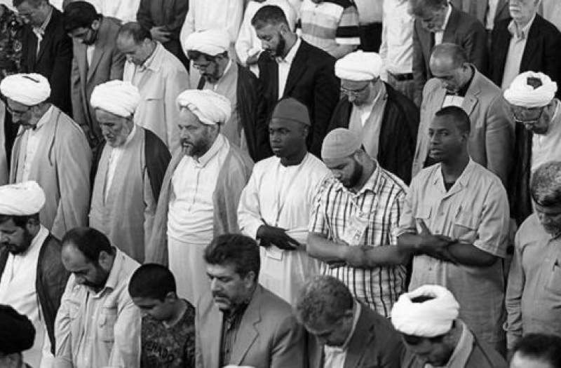 تعاملات شیعیان و اهل سنت در رسانه