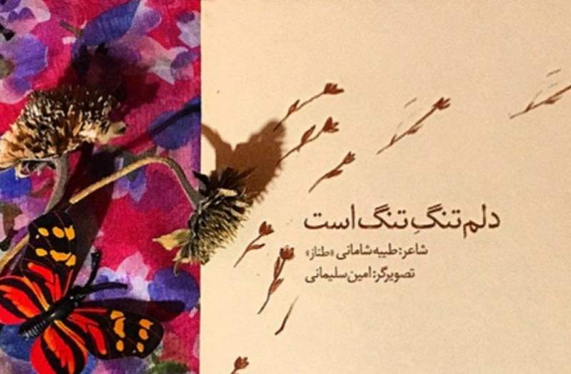 مجموعه اشعار مذهبی و مهارتی «طیبه شامانی» در مسیر نشر مجموعه اشعار مذهبی و مهارتی «طیبه شامانی» در مسیر نشر